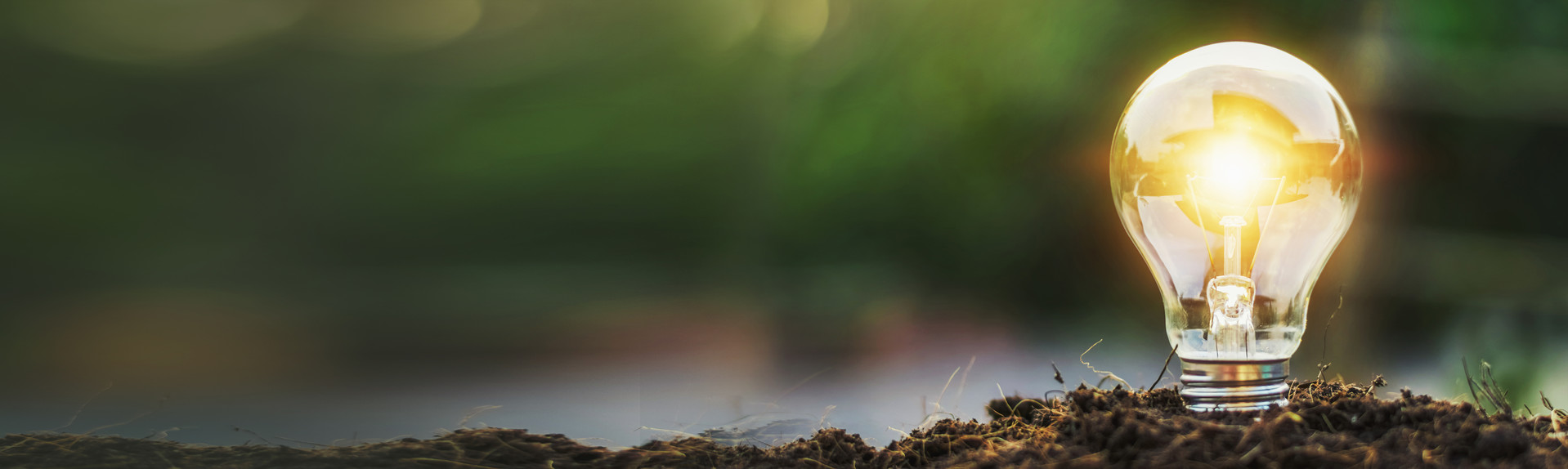 <table class="noBorder" style="width: 100%;">   <tbody>     <tr>       <td style="width: 6.9325%;"><br></td>       <td style="width: 72.3358%; vertical-align: middle;">         <strong><span style="font-size: 48px; font-weight: 800;">Global Bio-Materials<br>Manufacturer</span></strong>       </td>       <td style="width: 15.6354%; vertical-align: middle;">         <div style="text-align: right;">           <!-- 버튼 코딩이 삭제된 부분 -->         </div>       </td>       <td style="width: 4.9854%;"><br></td>     </tr>     <tr>       <td style="width: 6.9325%;"><br></td>       <td style="width: 72.3358%;">         <br><br>         <span style="font-size: 22px; line-height: 1.5;">           Driving sustainable growth with our customer         </span>       </td>       <td style="width: 15.6354%;"><br></td>       <td style="width: 4.9854%;"><br></td>     </tr>   </tbody> </table>