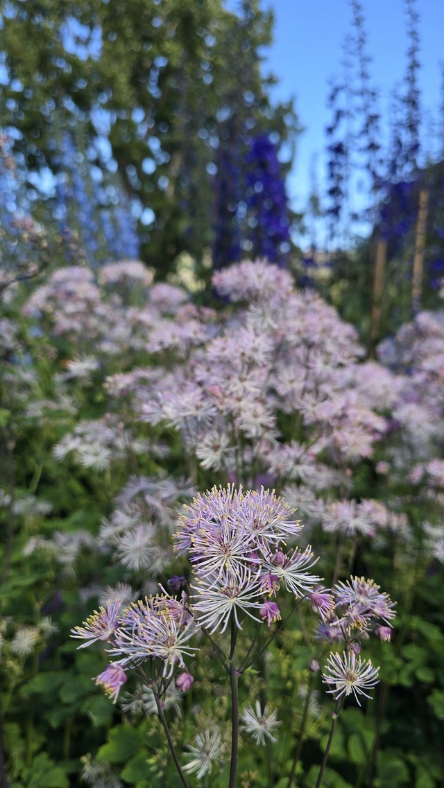 여름 아이슬란드일주패키지13일 아이슬란드일주고품격 소규모패키지 풀패키지 트래블로드 아이슬란드링로드 아이슬란드하이랜드인랜드 란드마나라우가 혜초여행사아이슬란드 스카이라군 블루라군