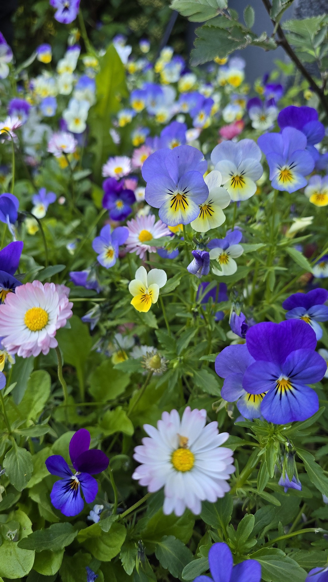 여름 아이슬란드일주패키지13일 소규모 아이슬란드일주 고품격 아이슬란드 패키지 풀패키지 트래블로드 아이슬란드링로드 아이슬란드하이랜드인랜드 란드마나라우가 혜초여행사아이슬란드 스카이라군 블루라군