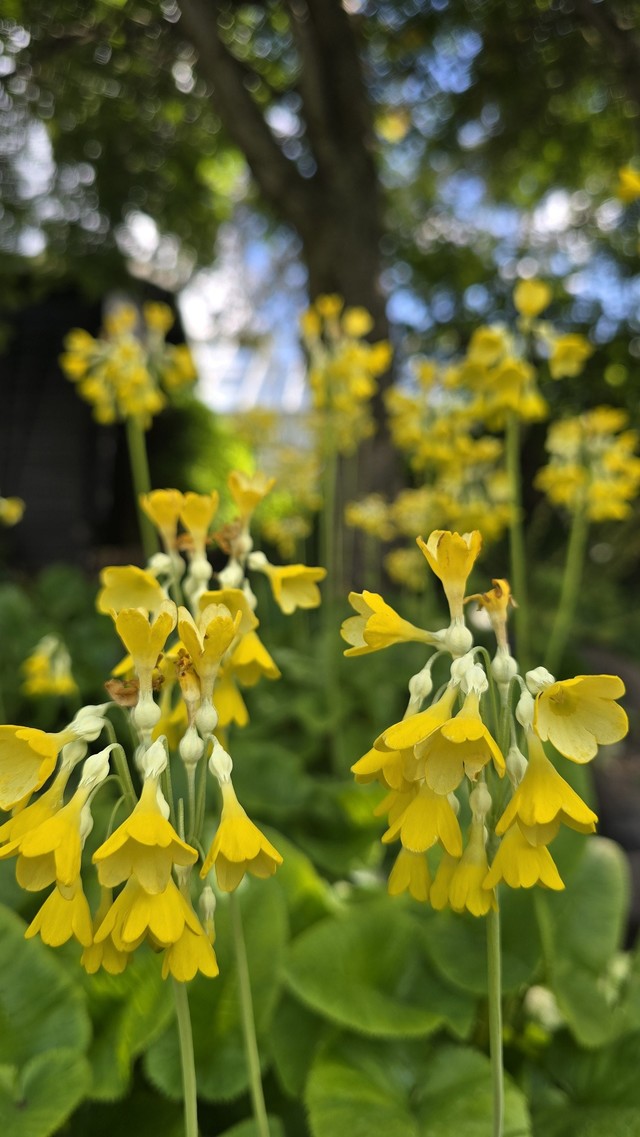 여름 아이슬란드일주패키지13일 아이슬란드일주고품격 소규모패키지 풀패키지 트래블로드 아이슬란드링로드 아이슬란드하이랜드인랜드 란드마나라우가 혜초여행사아이슬란드 스카이라군 블루라군