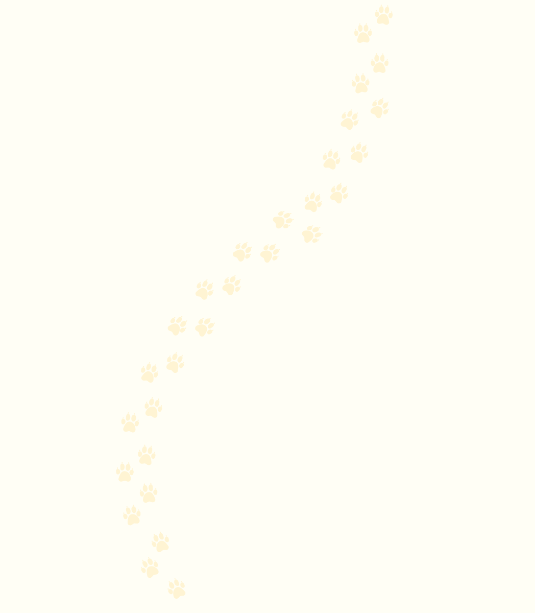 mobile background