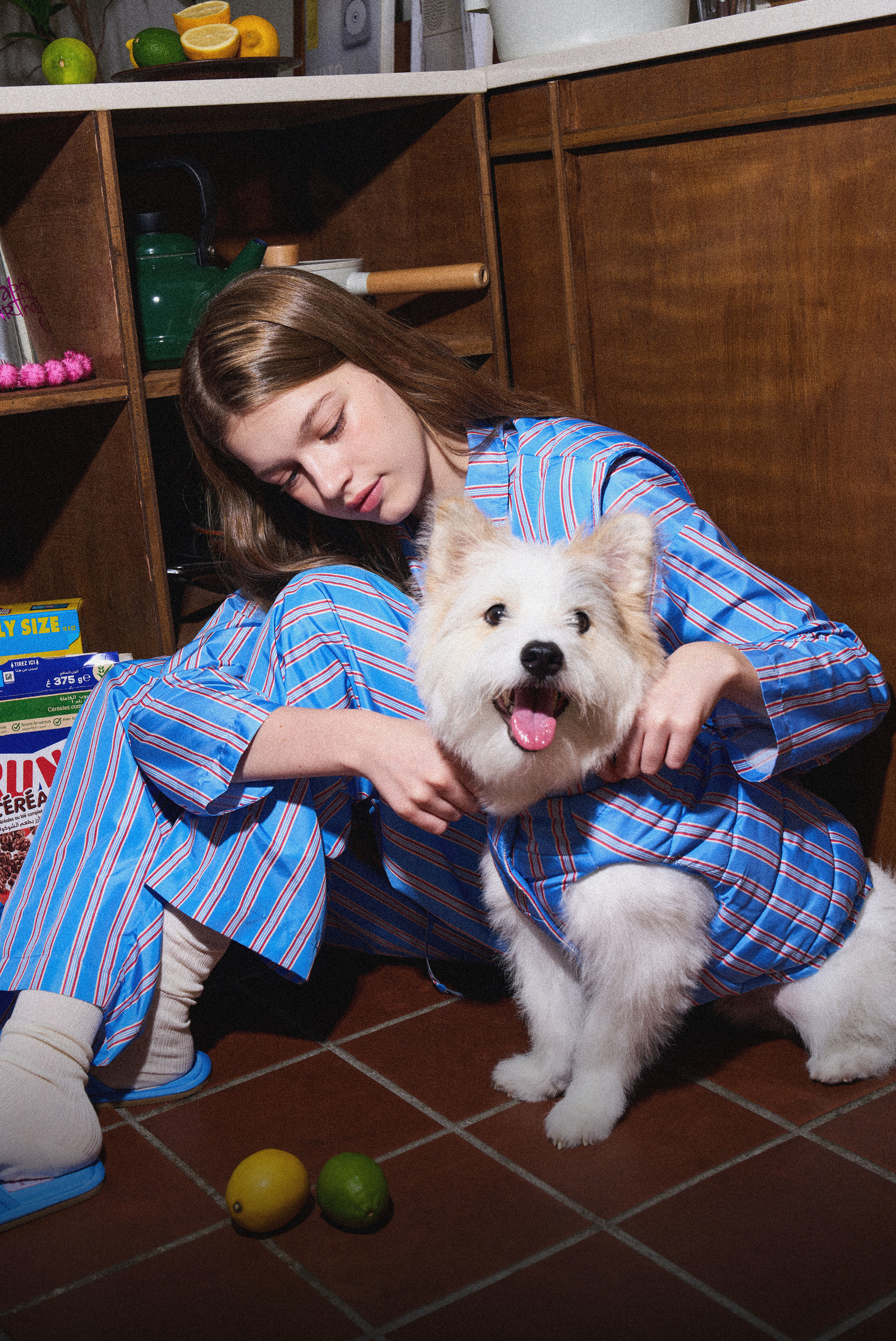 <p><span style="font-size: 18px; color: rgb(255, 255, 255);"><strong>furless padded vest</strong></span></p>  <p><span style="color: rgb(255, 255, 255);"><span style="font-size: 12px;">for furry companion animals</span></span></p>  <p><span style="color: rgb(255, 255, 255);"><br></span></p>  <p><span style="color: rgb(255, 255, 255);"><u><span style="font-size: 14px;">learn more</span></u></span></p><br>