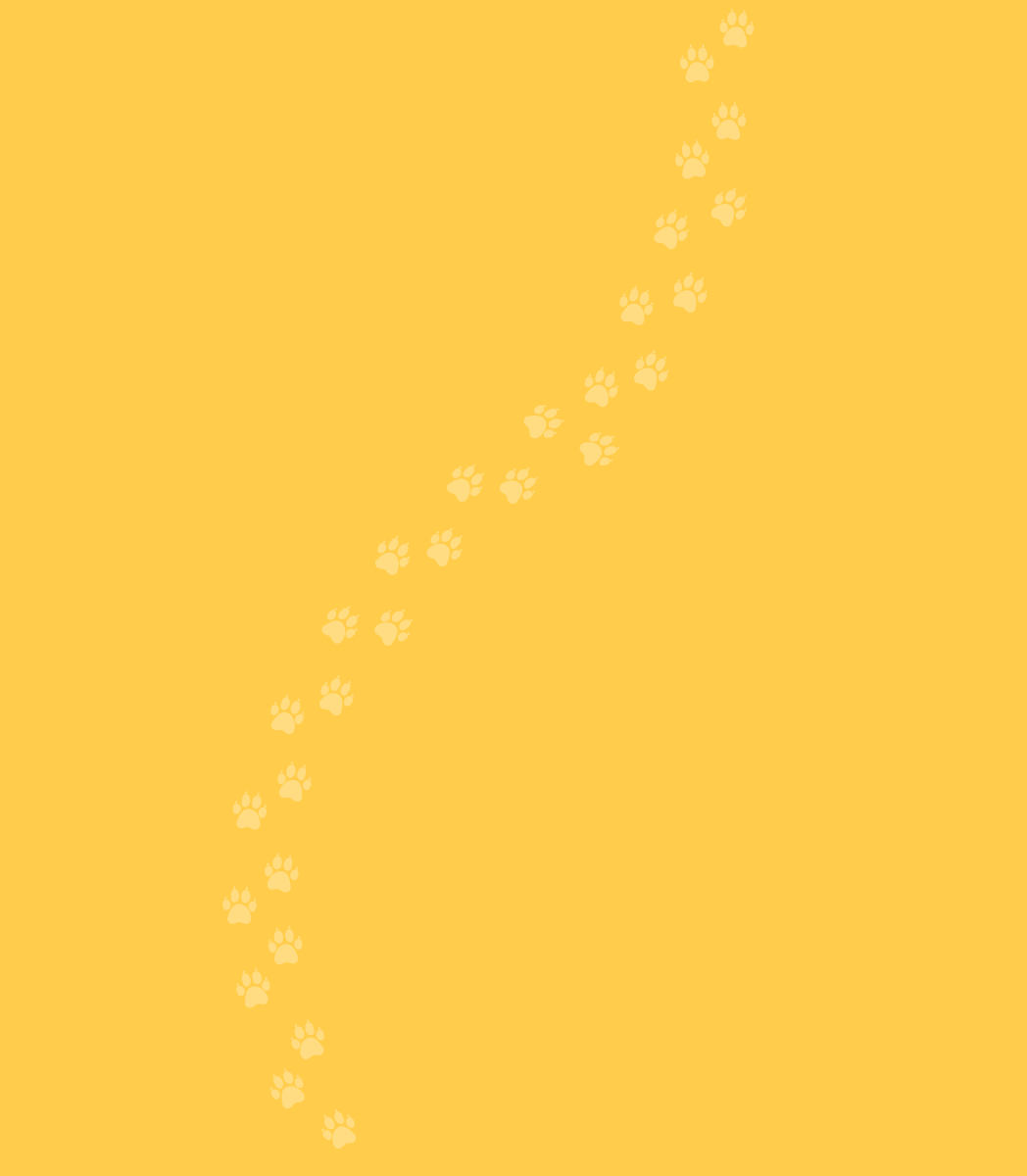 mobile background