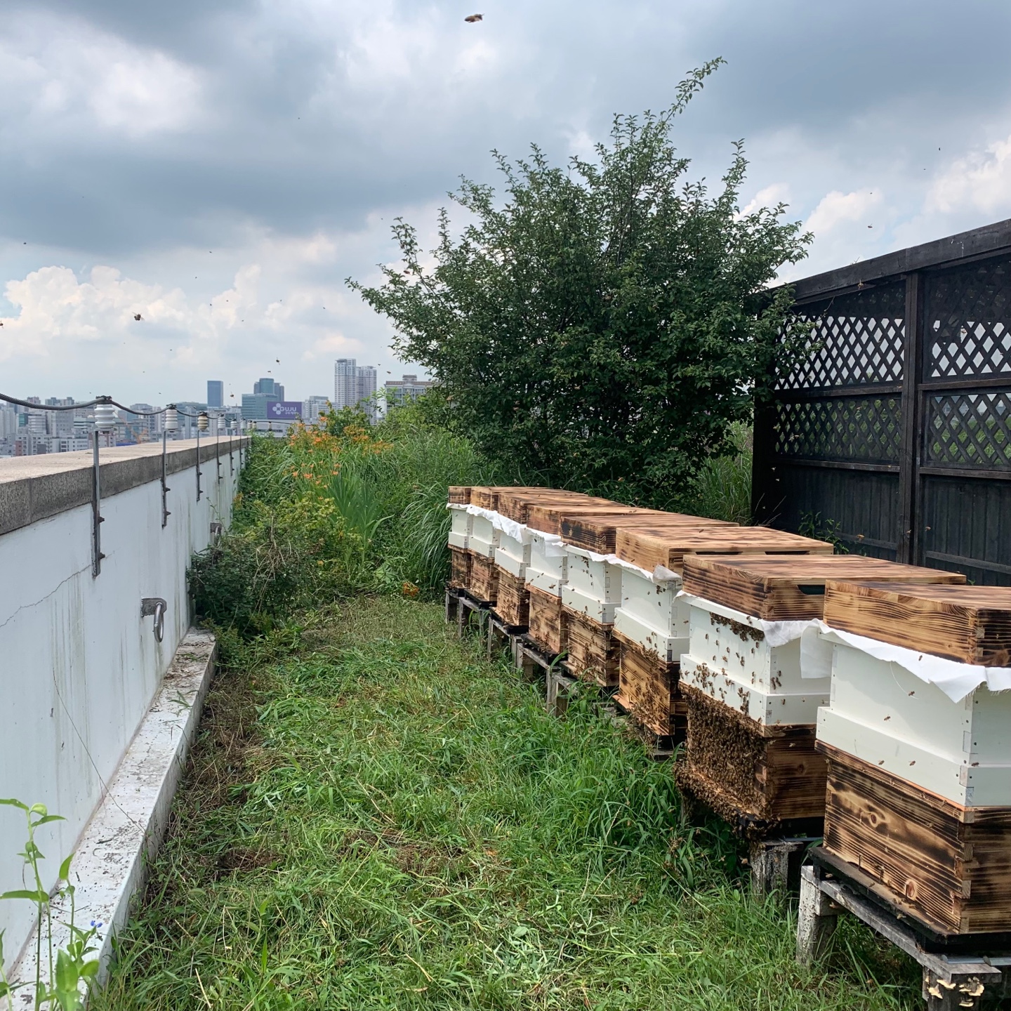 <p style="text-align:left; font-size:16px; margin-top:26px;">VITAE TELLUS IN<br><span style="color:#666;">₩ 80,000</span></p>