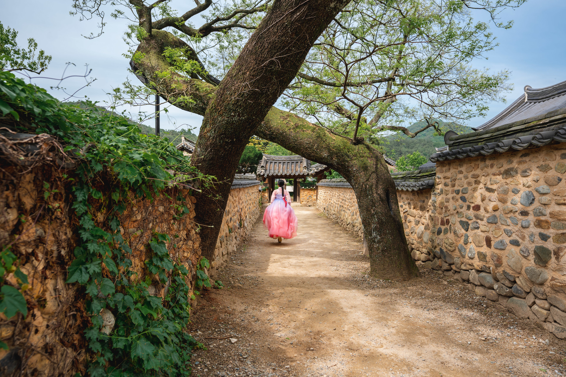출처: 산청군청