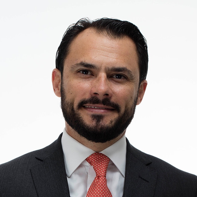 Mr. Alvaro Silva-Santisteban F.