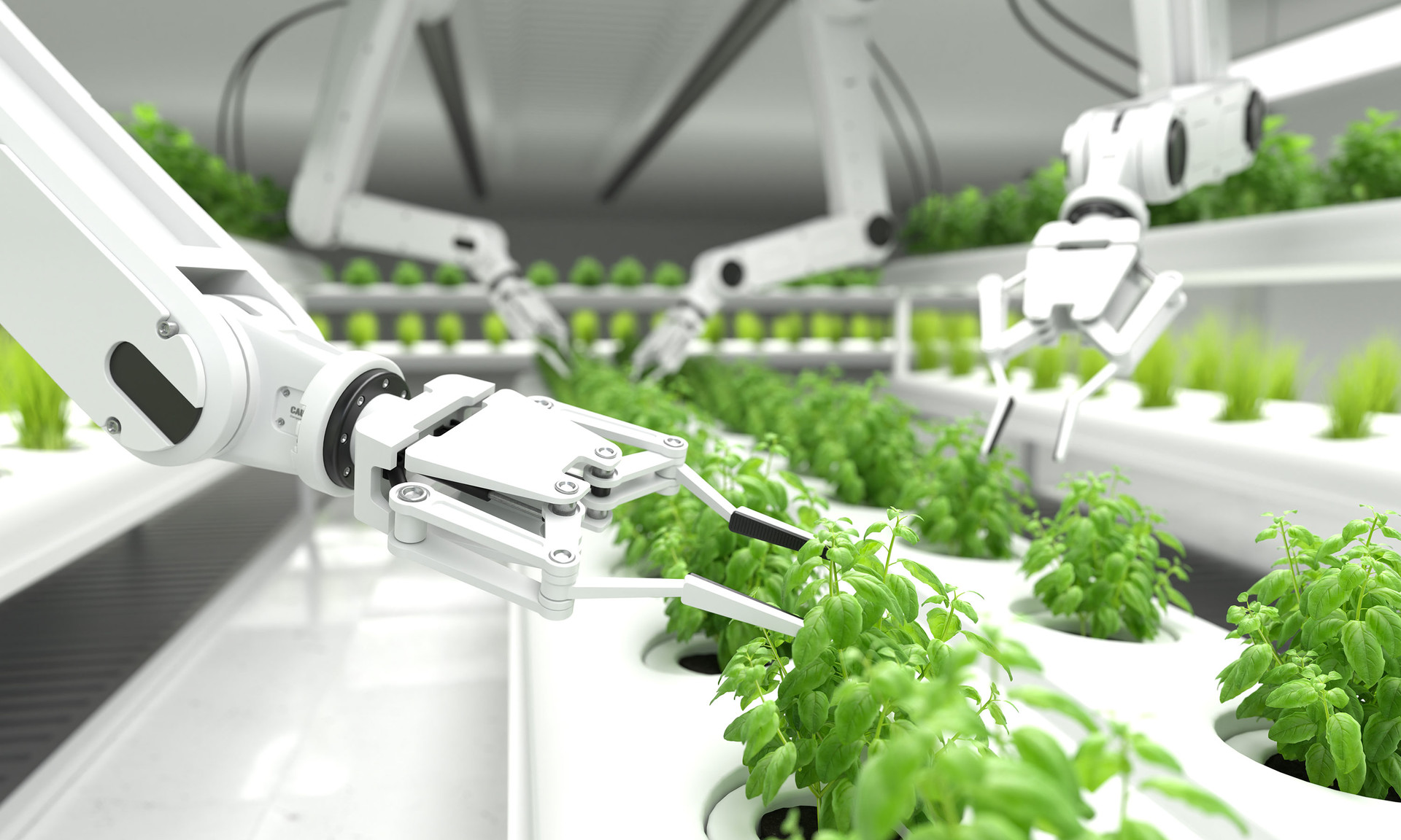 <b>스마트팜_Smart Farm<br>