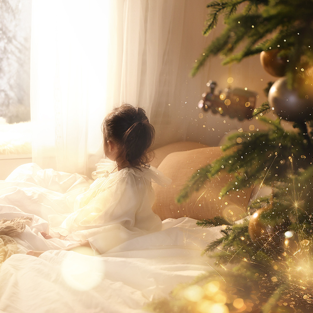 크리스마스(11-12월 시즌컨셉)