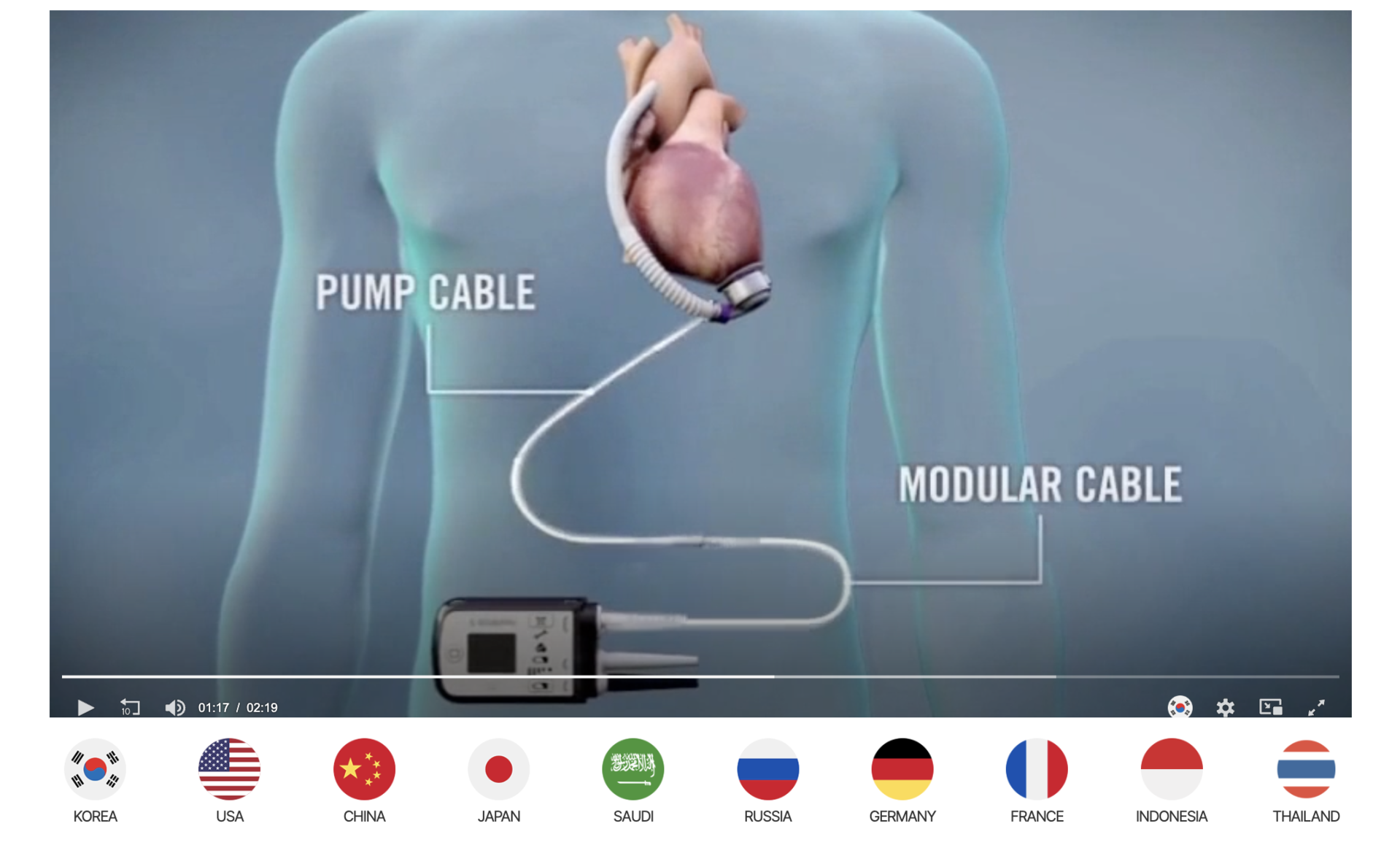 다국어 번역 영상