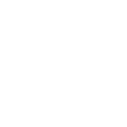 특허법인 비엘티