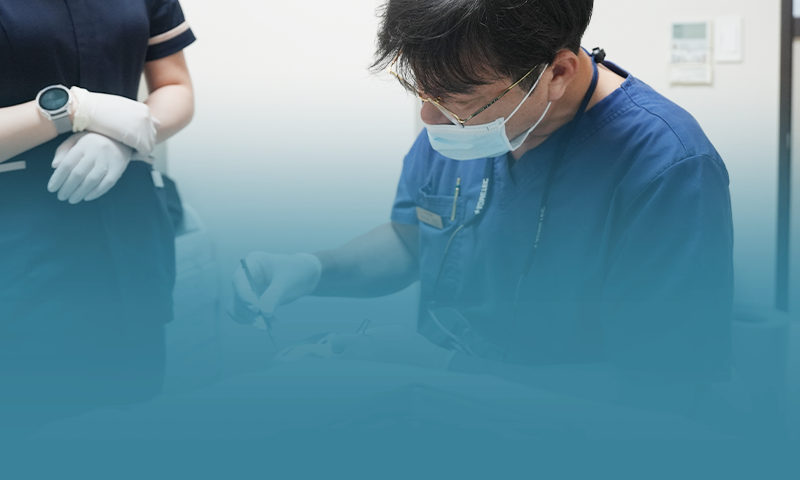 <div style="text-align: center;     vertical-align: middle;"> <h5><br><br>25,000회의 임상 경험과<br>20여년의 경력<br></h5> <h6>대표원장이 직접<br>진료,진단,수술 집도</h6> </div>