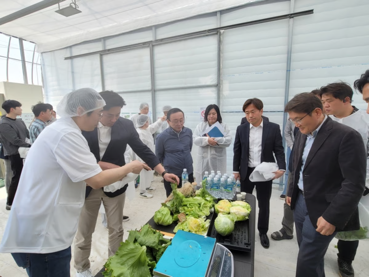 SmartARK, an agtech company, holds a smart farm briefing session for lettuce farmers in Yeoncheon County