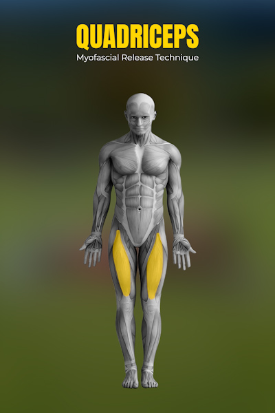 흉추 회전 (네발기기)