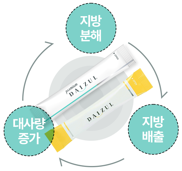 배출 다이어트 - 지방분해, 대사량 증가, 지방배출