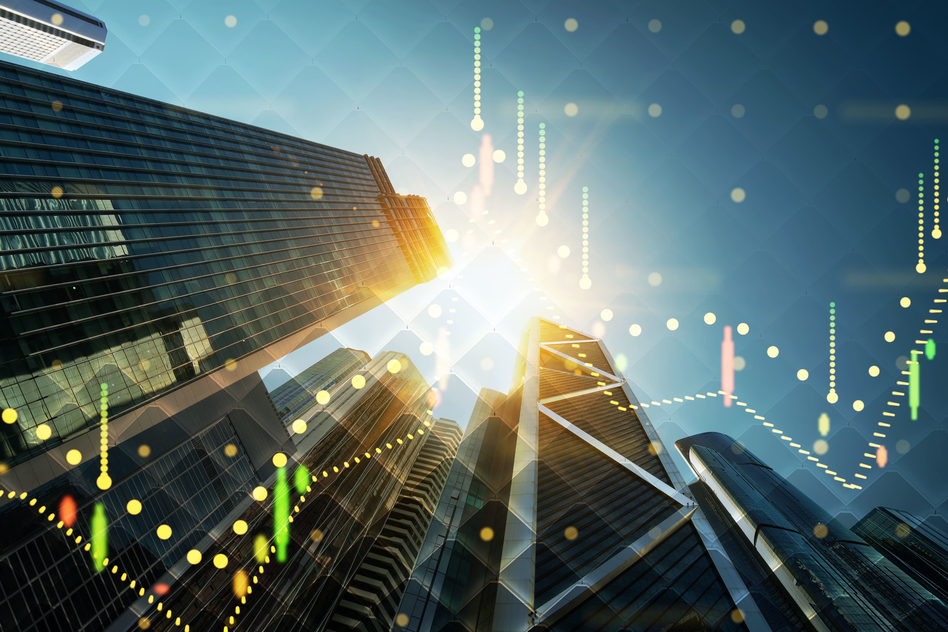 제품 관련 이미지