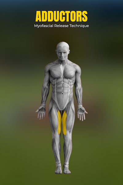 흉추 회전 (네발기기)