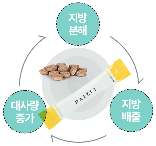 배출 다이어트 - 지방분해, 대사량 증가, 지방배출