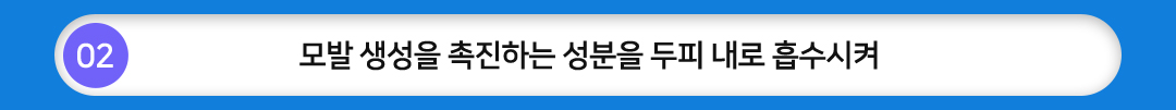 02 모발 생성을 촉진하는 성분을 두피 내로 흡수시켜