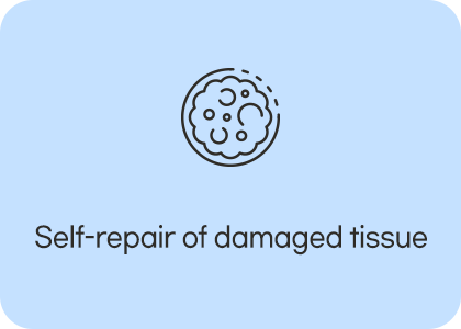 Self-repair of damaged tissue
