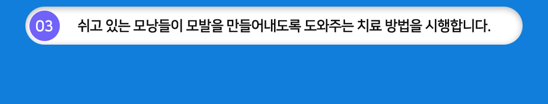 03 쉬고 있는 모낭들이 모발을 만들어내도록 도와주는 치료 방법을 시행합니다.