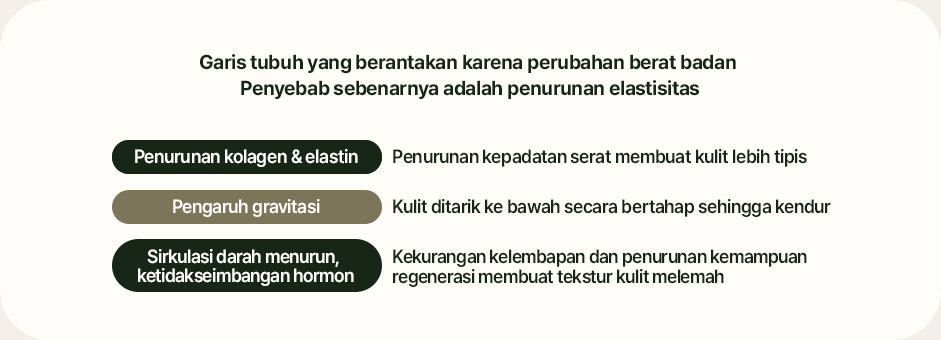 Garis tubuh yang berantakan karena perubahan berat badan  Penyebab sebenarnya adalah penurunan elastisitas