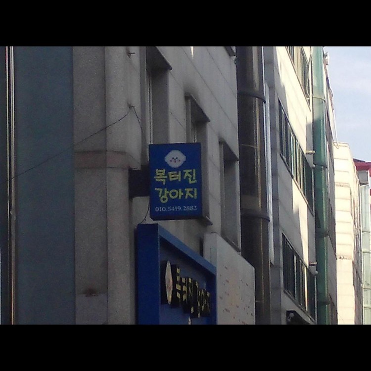 상품 이미지