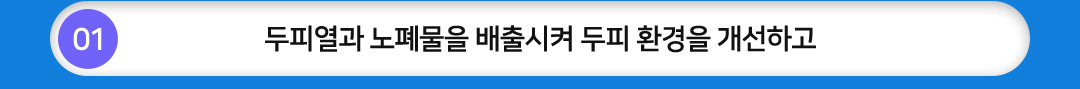 01 두피열과 노폐물을 배출시켜 두피 환경을 개선하고
