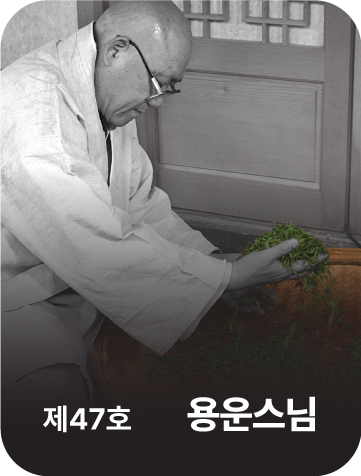 <div class="store-info" data-keyword="47 47호 용운스님">      <strong class="store-name">           草衣茶, 草衣饼茶           <span style="font-size: 80%;"><br>(食品类)</span>      </strong>      <p class="store-address">           全罗南道 务安郡 三乡邑 草衣街 30      </p>      <p class="store-tel">           <a href="tel:+82-61-285-0301">+82-61-285-0301</a>      </p>      <p class="store-site">           <a href="http://www.choyeetea.co.kr/" target="_blank" rel="noopener noreferrer">                www.choyeetea.co.kr           </a>      </p> </div>