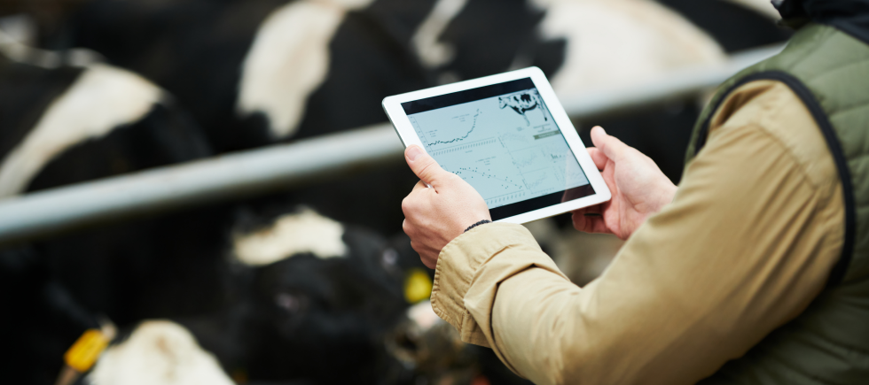 M&A,회사매각,기업금융,기업매각,법인매각,모멘스투자자문