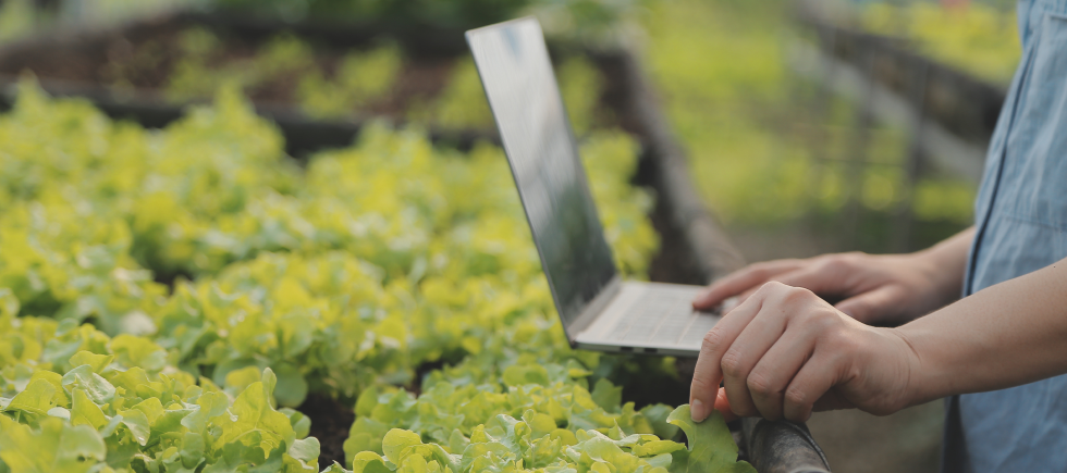 M&A,회사매각,기업금융,기업매각,법인매각,모멘스투자자문