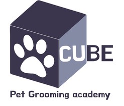 큐브애견미용학원