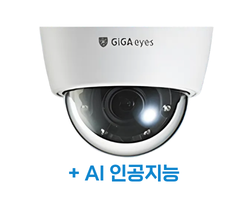 KT텔레캅 (AI 자가방범)