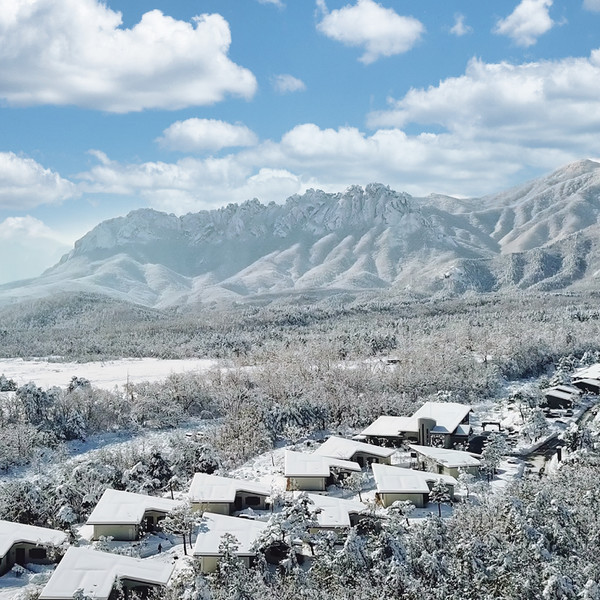 예약 상품 이미지