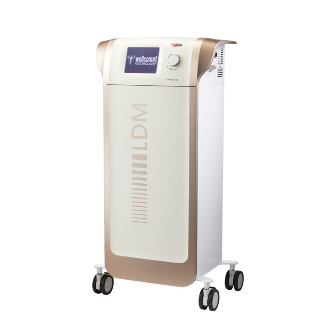 <p style="font-size: 14px; font-weight: 600; color: #16374B; padding: 15px 0;">LDM</p>