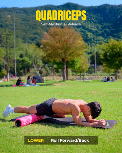 흉추 회전 (네발기기)