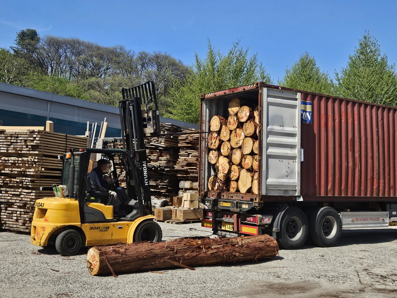 <p style="text-align:center; font-size:16px; margin-top:26px; color:yellow;">히노끼나라 편백나라 제재소-원목 도착</p>