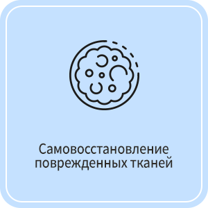 Самовосстановление поврежденных тканей