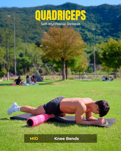 흉추 회전 (네발기기)