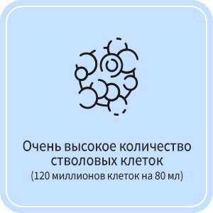 Очень высокое количество стволовых клеток(120 миллионов клеток на 80 мл)