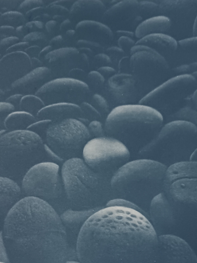 한성희 작품 이미지