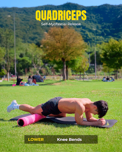 흉추 회전 (네발기기)