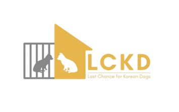 사단법인 엘씨케이디(LCKD)