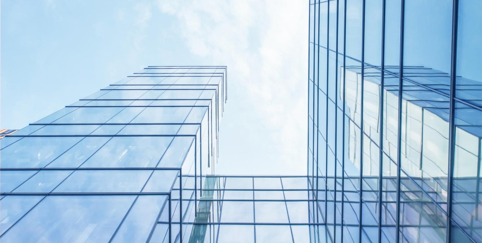 SEO업체 이삼팔랩