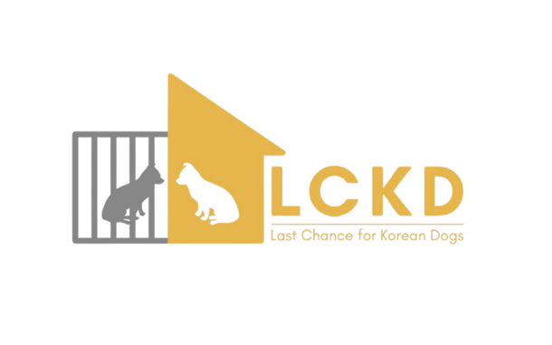 사단법인 엘씨케이디(LCKD)