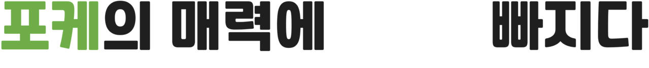 포케의 매력에 빠지다