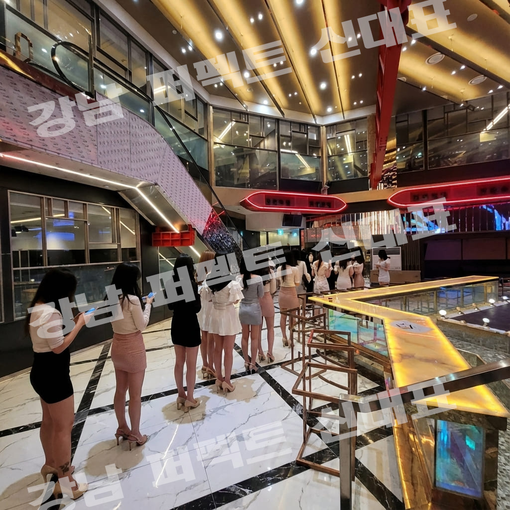 강남 퍼펙트 초이스