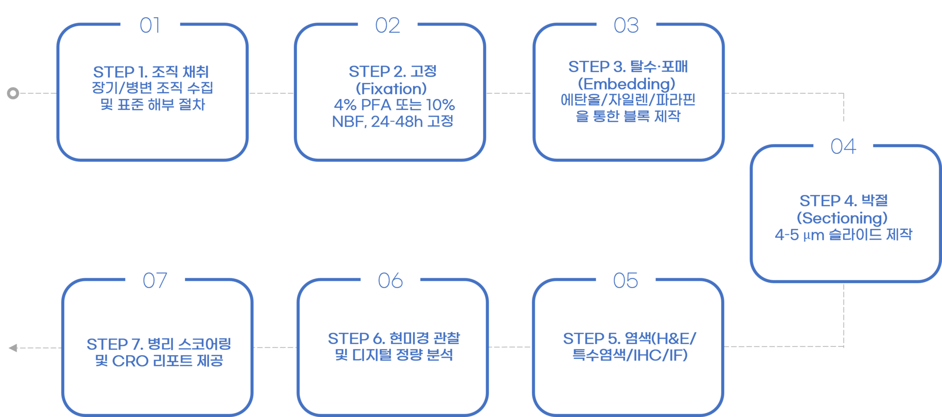 그림 1. 조직 채취부터 염색·분석까지의 조직병리학 실험 Workflow
