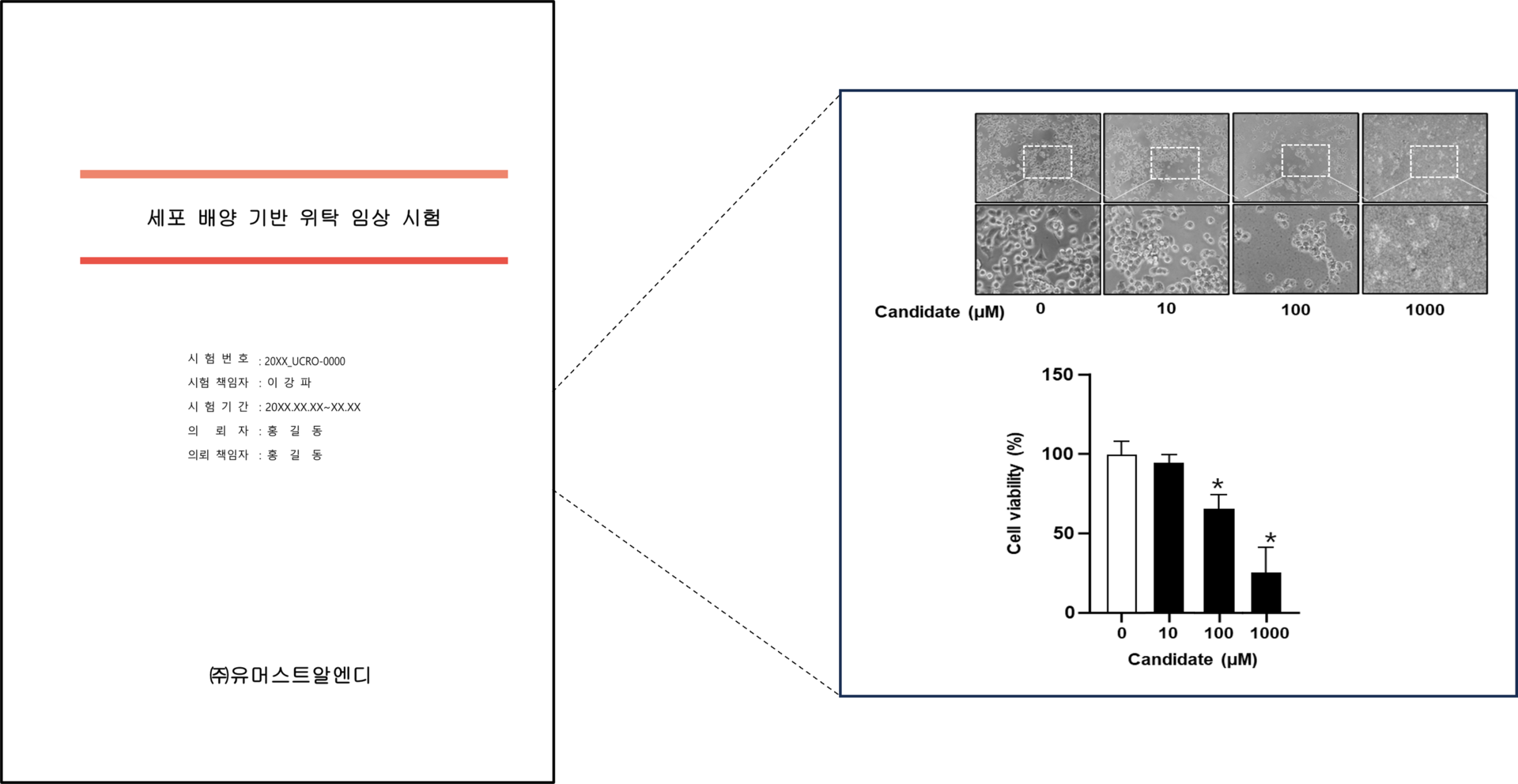 그림 5. 세포배양 기반 CRO 분석 리포트 예시