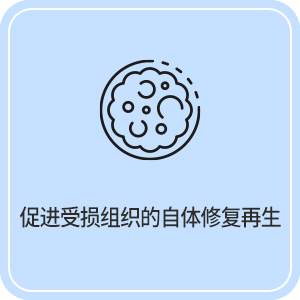 促进受损组织的自体修复再生