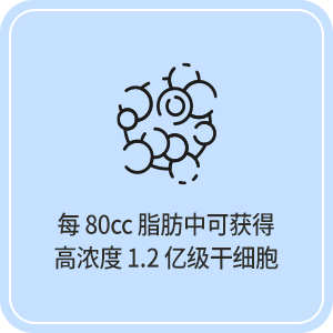 每 80cc 脂肪中可获得 高浓度 1.2 亿级干细胞